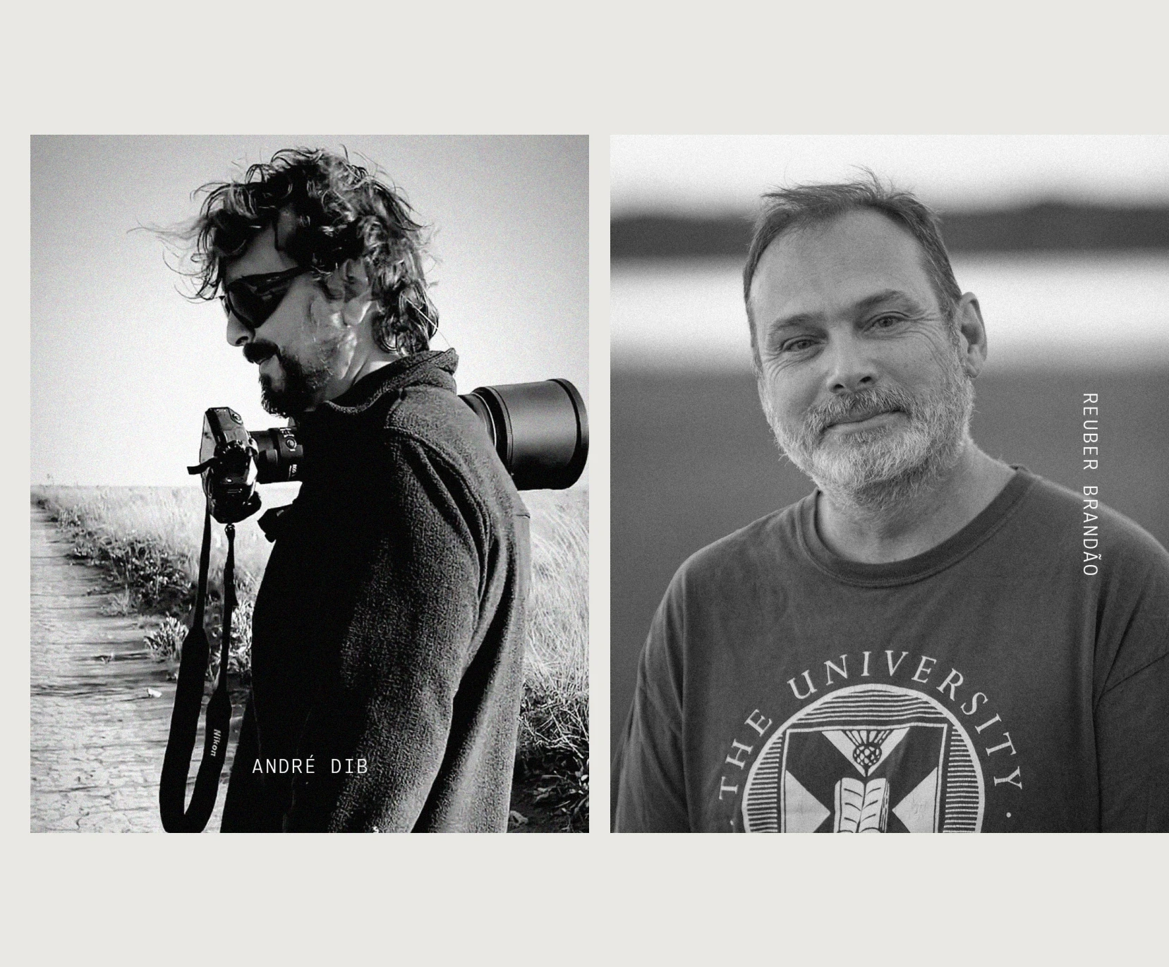 The Authors