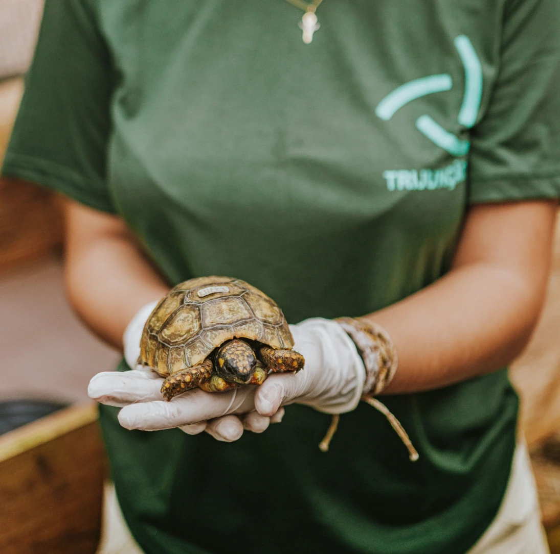 Trijunção Wildlife Center
