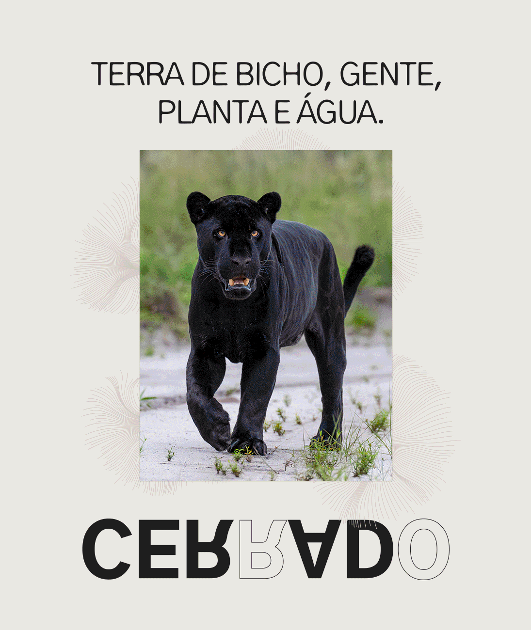 O Cerrado: