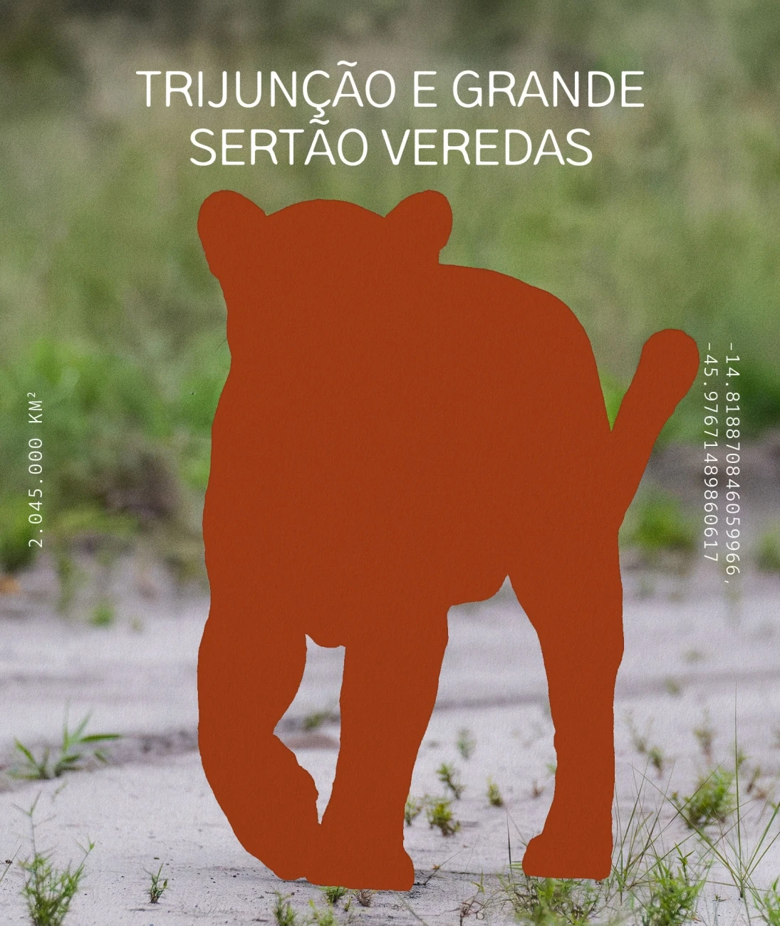 Trijunção e Grande Sertão Veredas