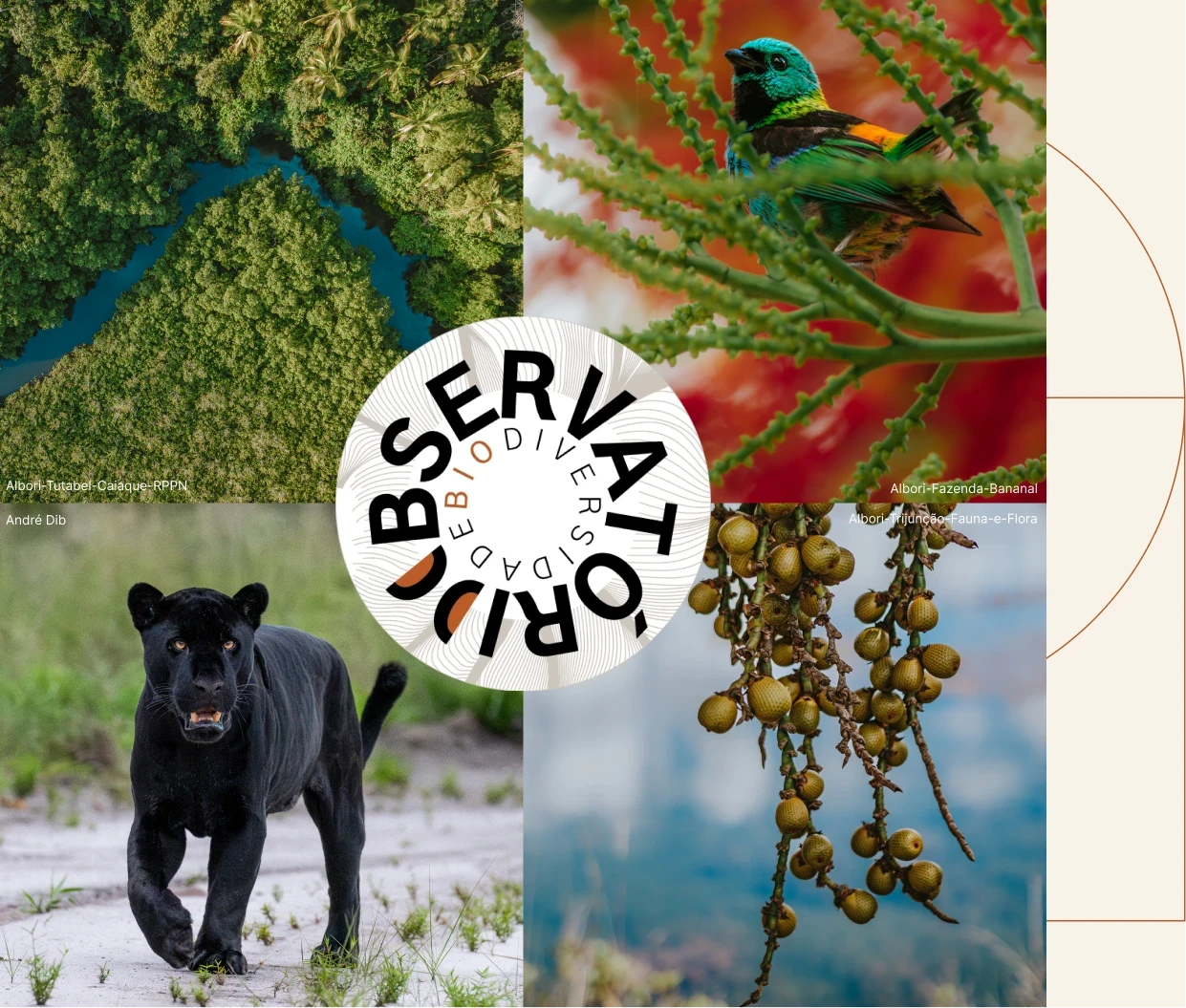 Observat&oacute;rio da Biodiversidade