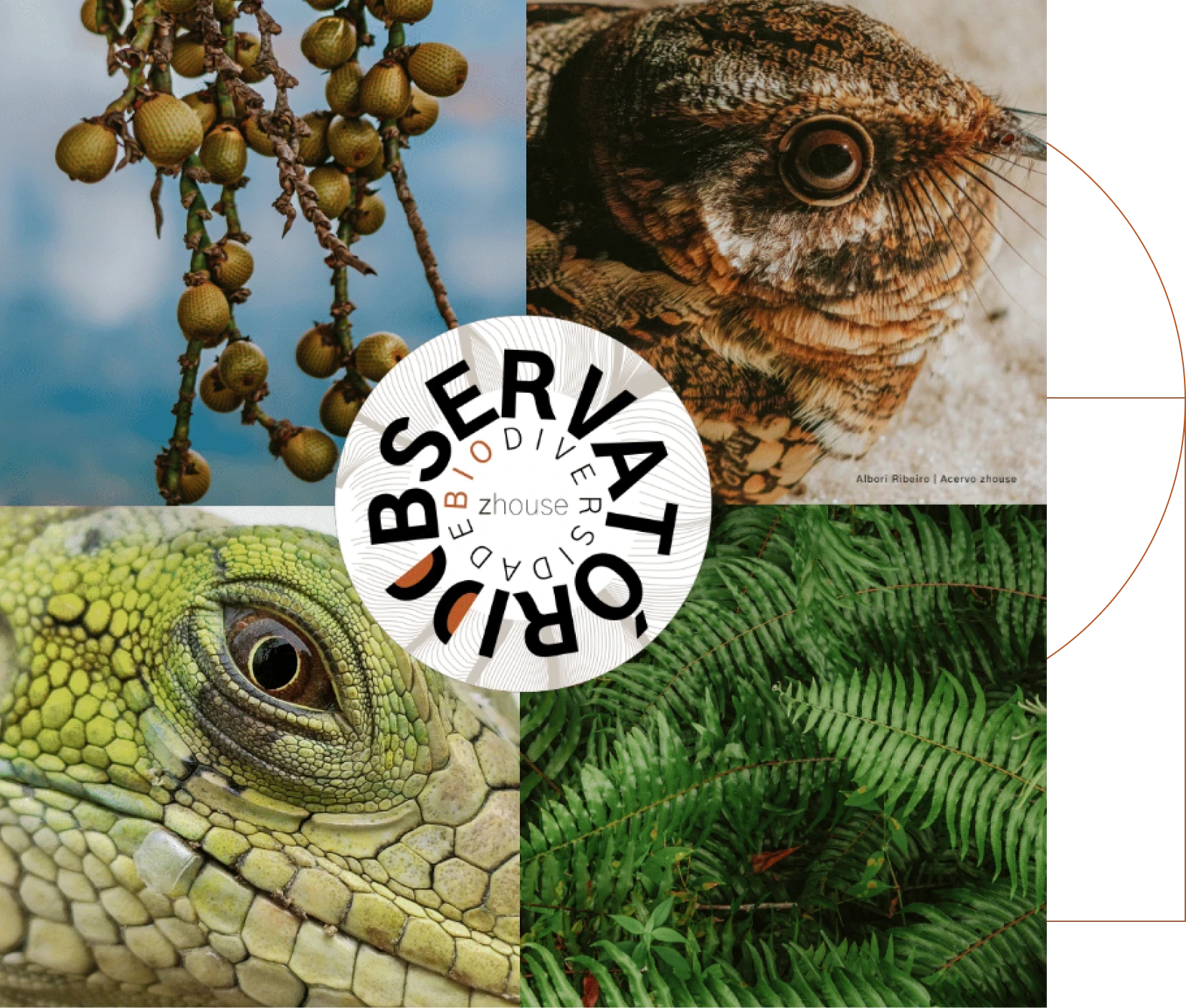 Observat&oacute;rio da Biodiversidade