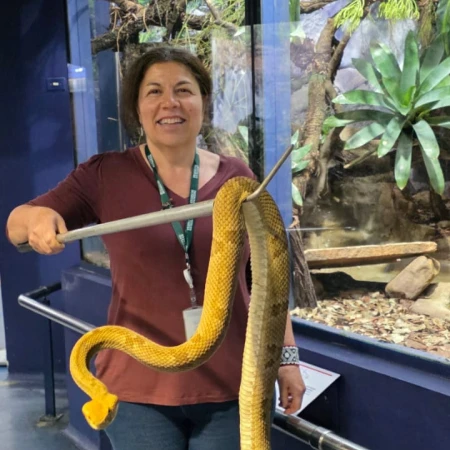 Dr. Silvia Regina Cardoso